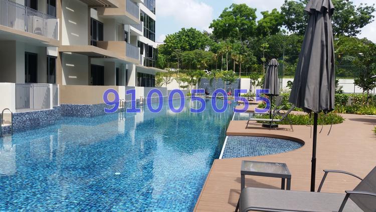 Palm Isles (D17), Condominium #68937622